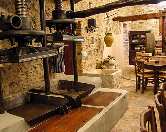 Liotrivi World Olive Oil Museum