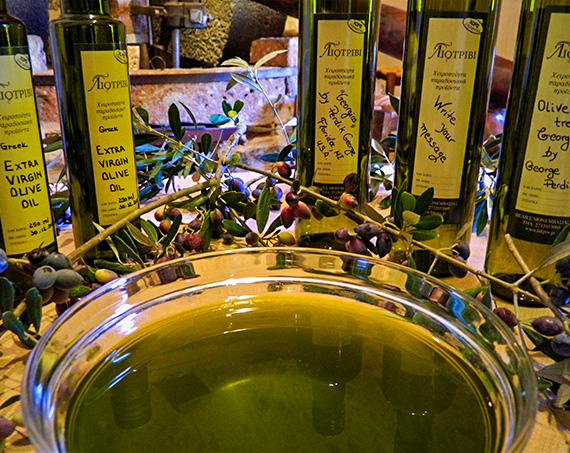 Liotrivi Olive & Olive Oil Tasting Experience